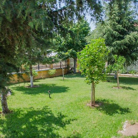 Paressa'S House Apartment Nikiti  Exterior photo